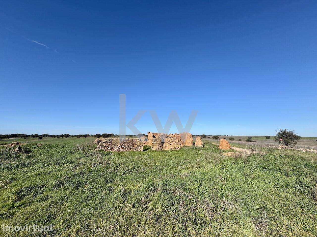 Oportunidade Exclusiva no Coração do Alentejo: Terreno com Potencial A - Grande imagem: 2/24