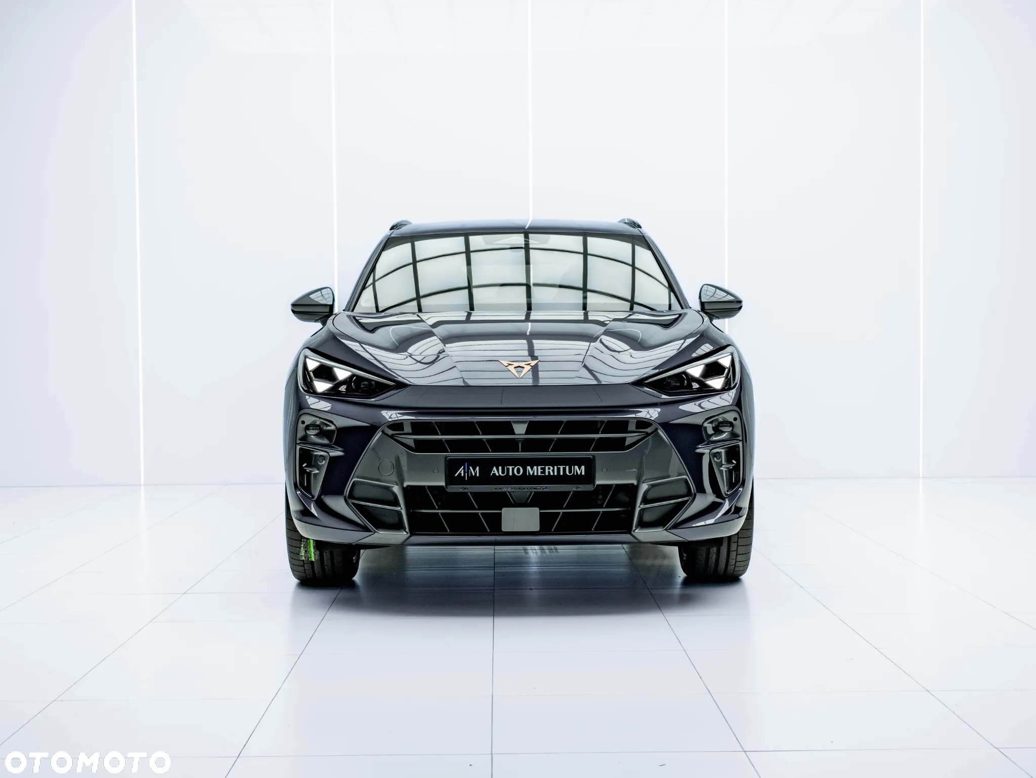 Cupra Terramar 2.0 TSI 4Drive DSG VZ - 3