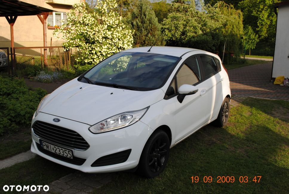 Ford Fiesta - 1