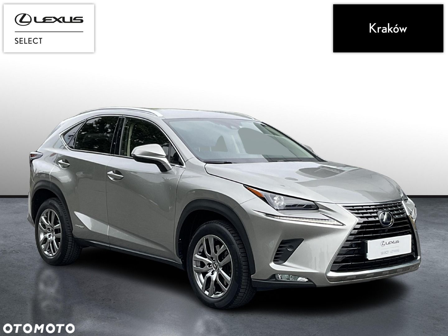 Lexus NX - 7