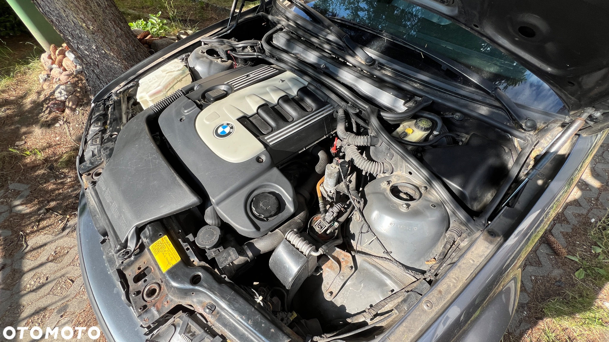 BMW Seria 3 330d - 31