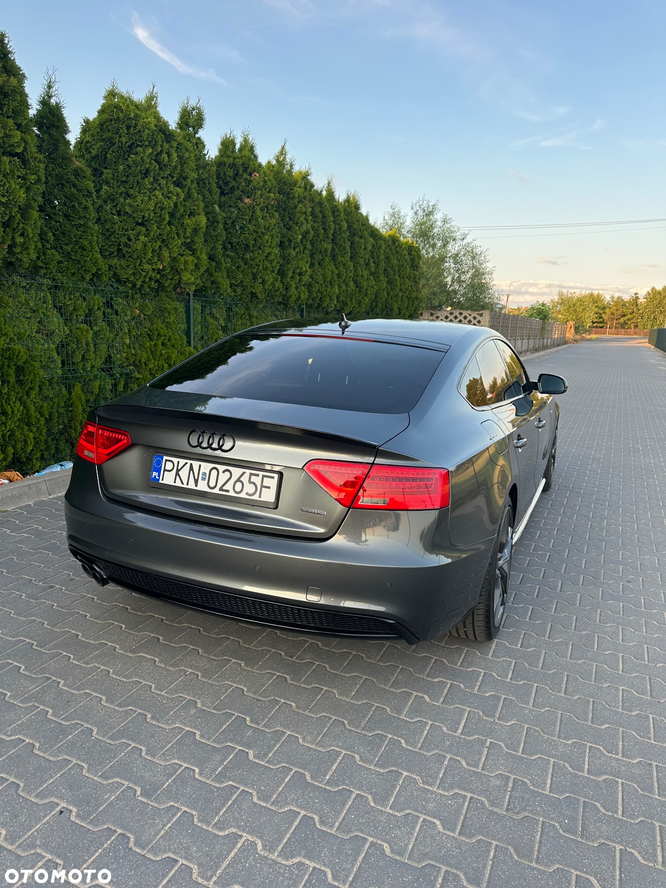 Audi A5 2.0 TDI Sportback (clean diesel) quat DPF S tro - 10