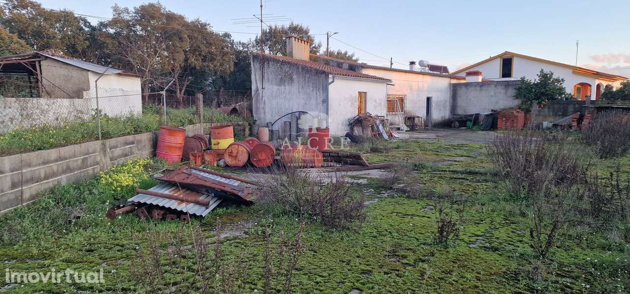 Foros do Arrão - Grande imagem: 5/9