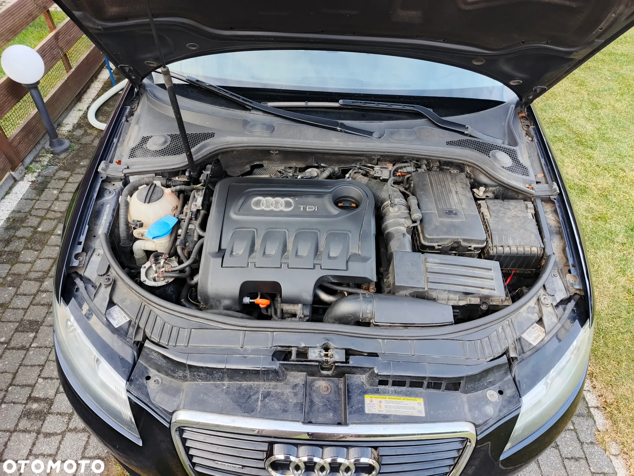 Audi A3 2.0 TDI DPF Quattro Ambition - 19