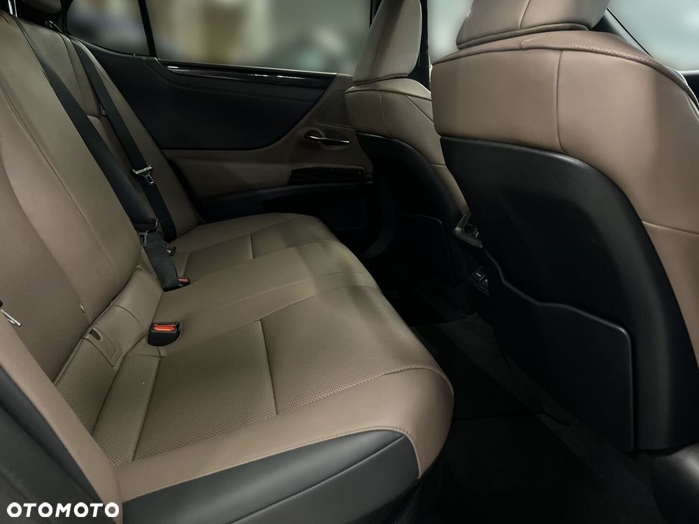 Lexus ES 300h F Sport Design - 14