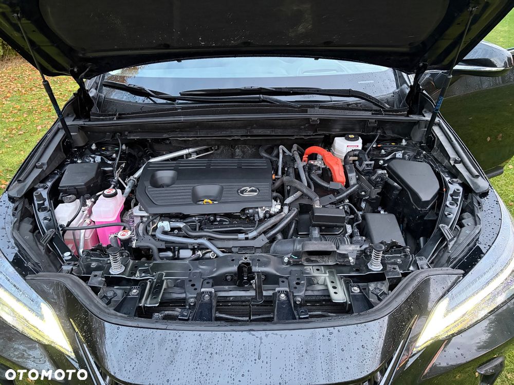 Lexus NX - 28