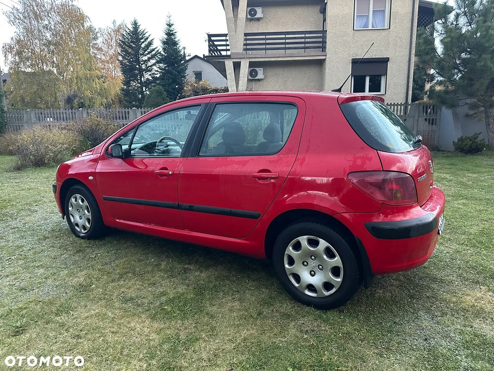 Peugeot 307 - 5