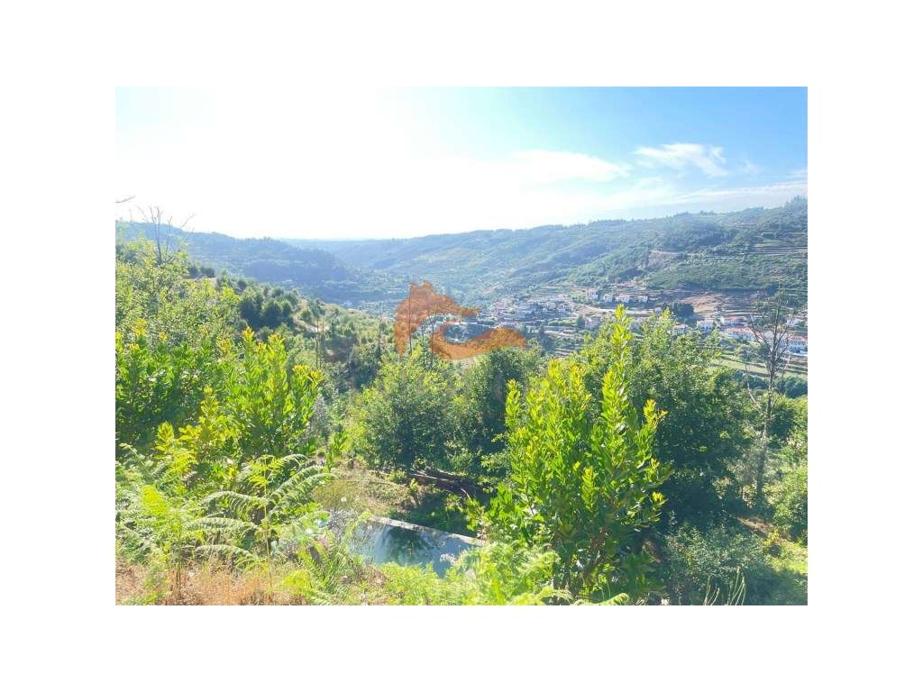 Quinta espetacular em Avô (Oliveira do Hospital) - Grande imagem: 2/15