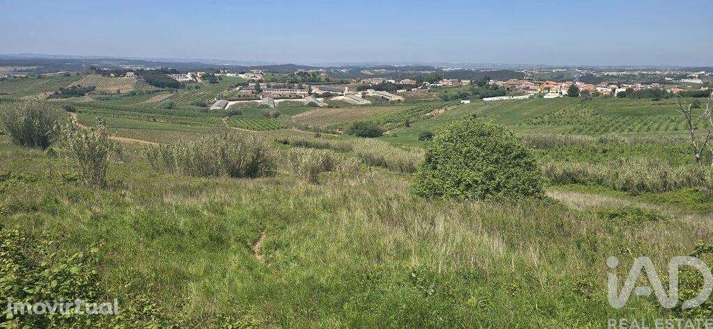 Terreno Agrícola em Vilar - Grande imagem: 3/9