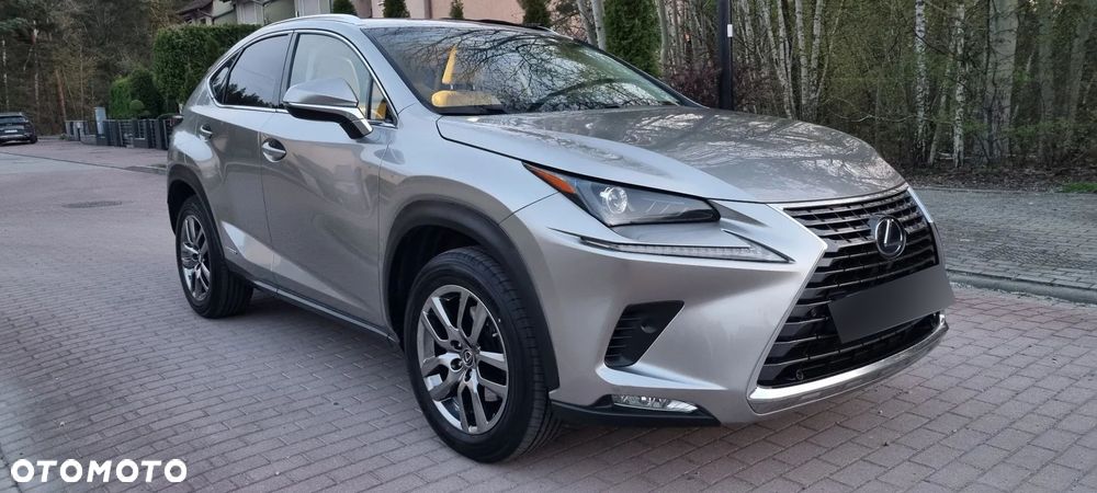 Lexus NX 300h Executive Line - 7