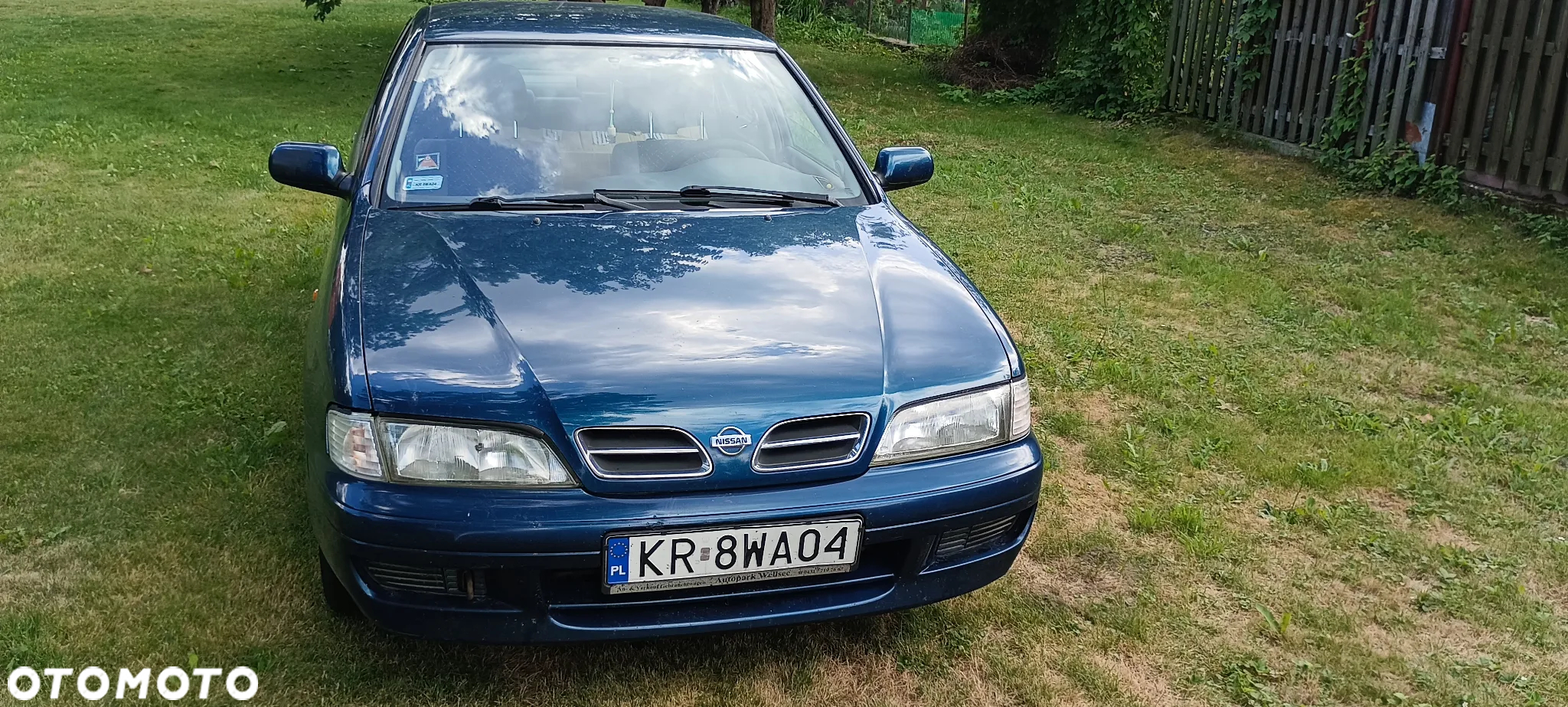 Nissan Primera - 2