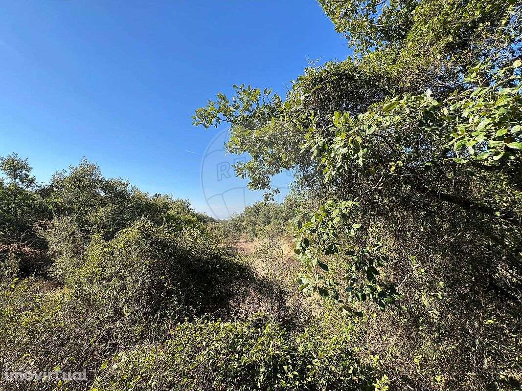 Terreno  para venda - Grande imagem: 2/13