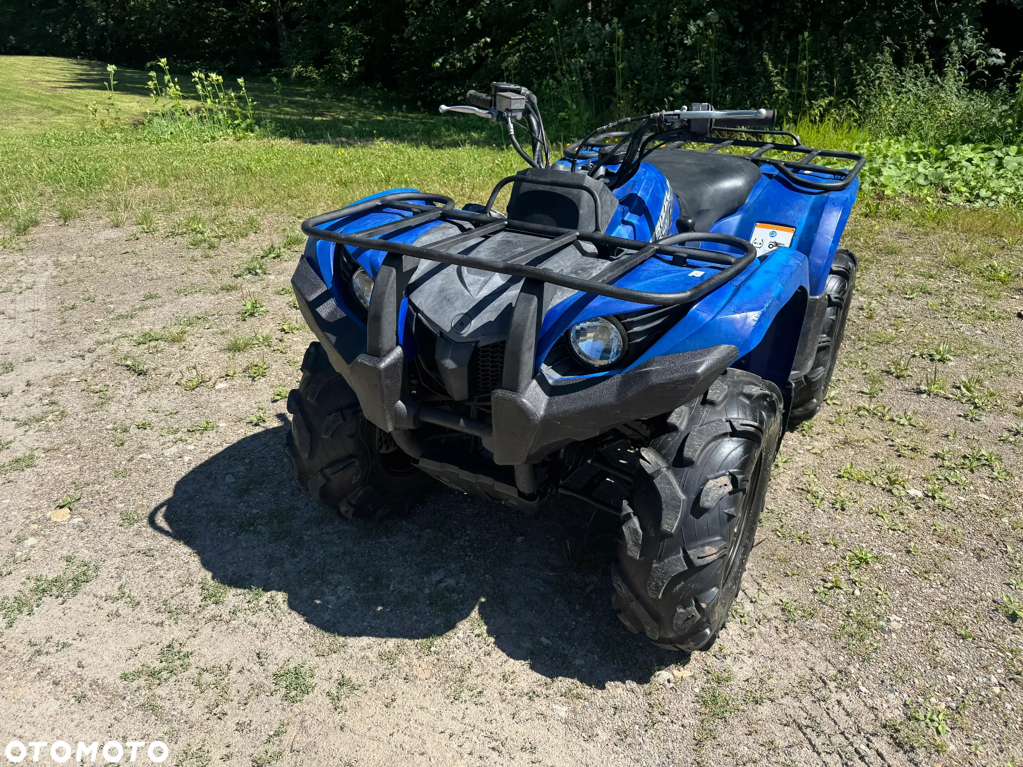 Yamaha Grizzly