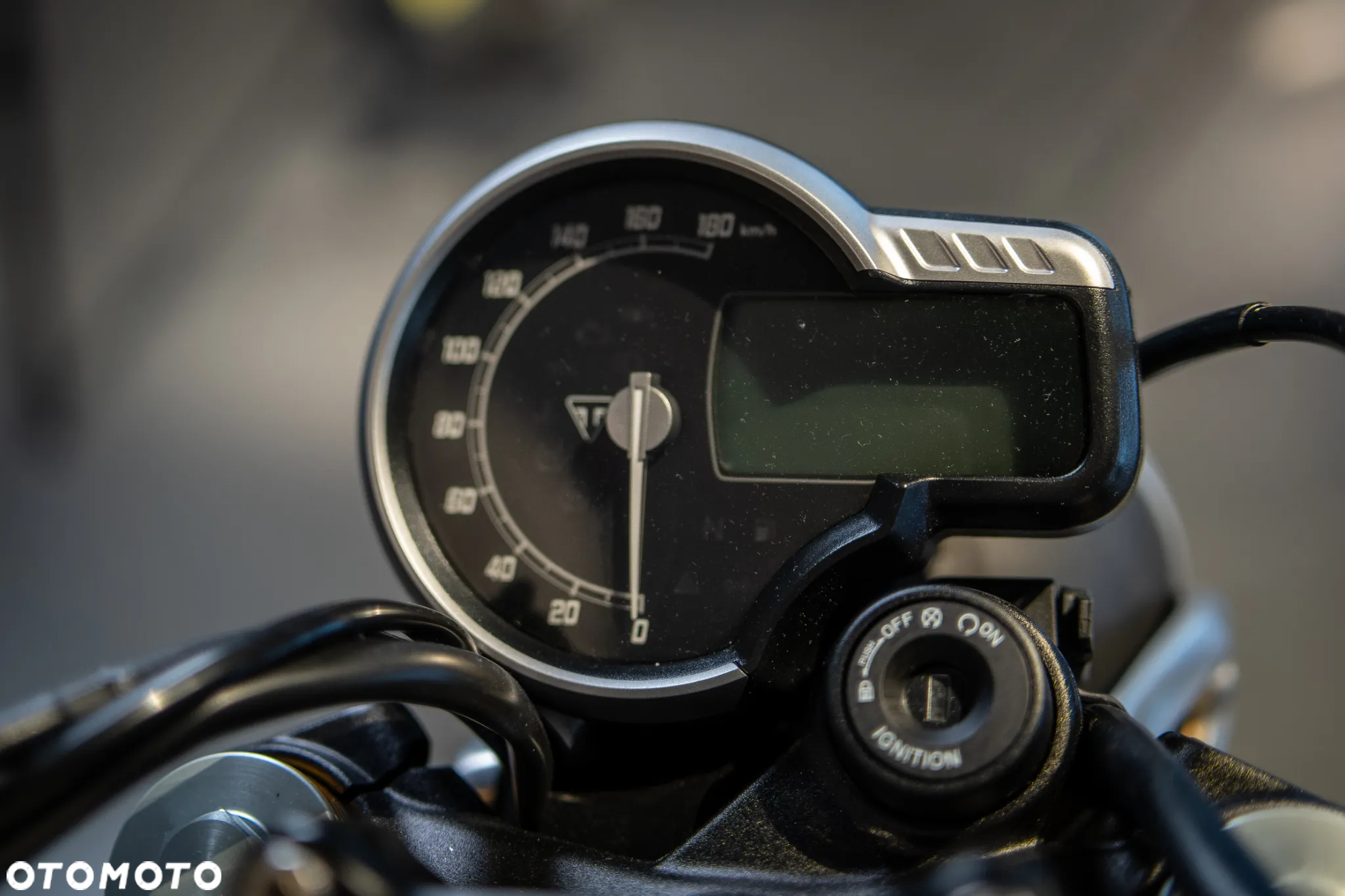 Triumph Inny - 21
