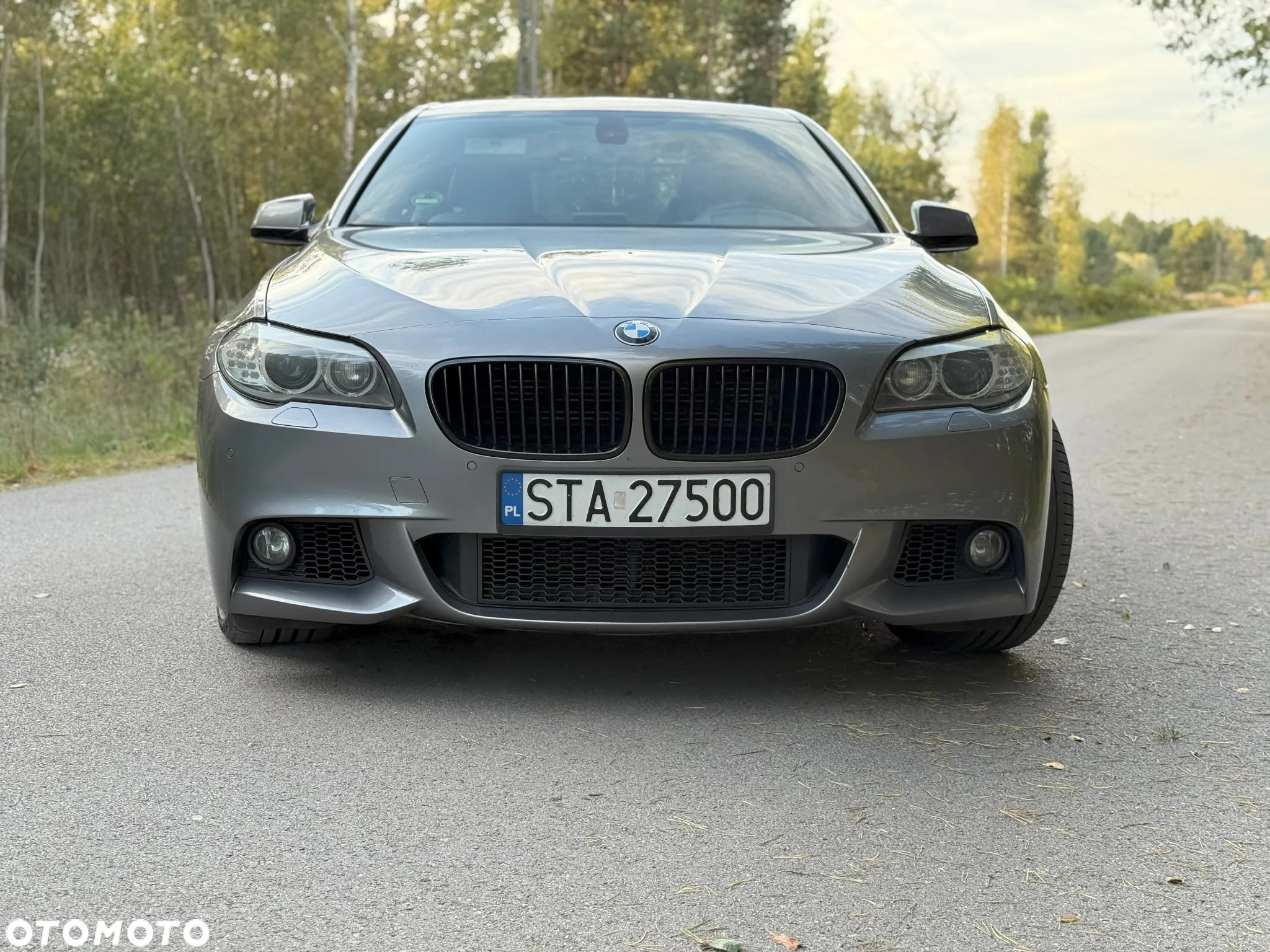 BMW Seria 5 550i - 8