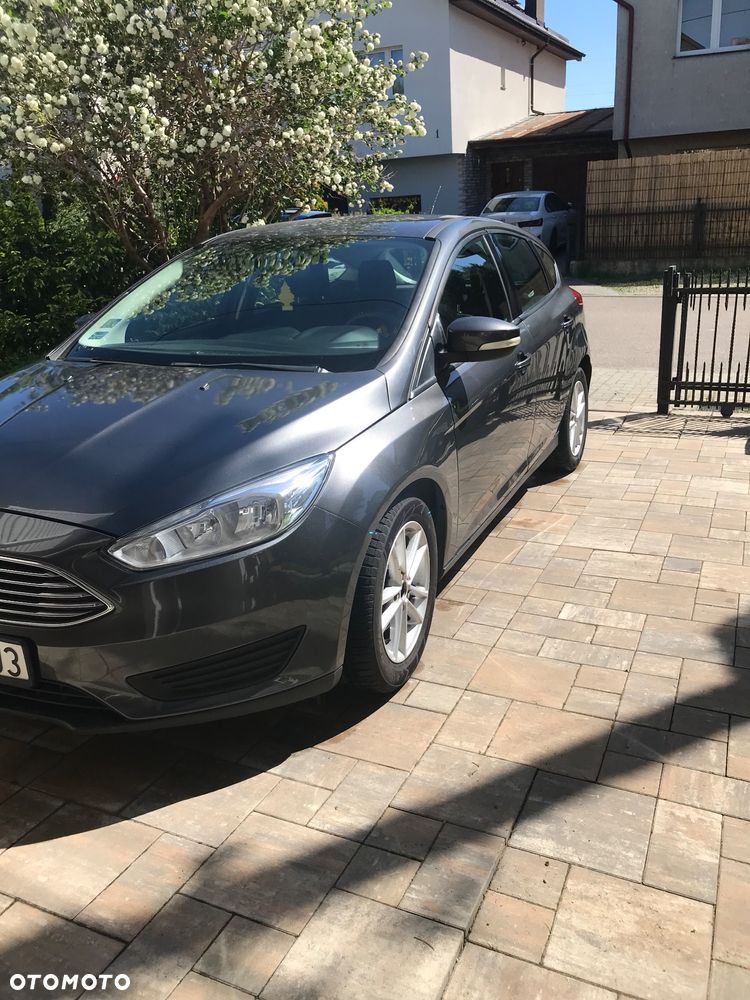 Ford Focus - 17