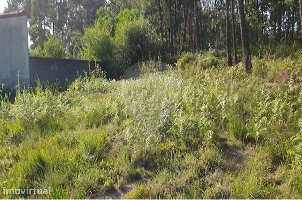 Terreno  para venda - Grande imagem: 2/4