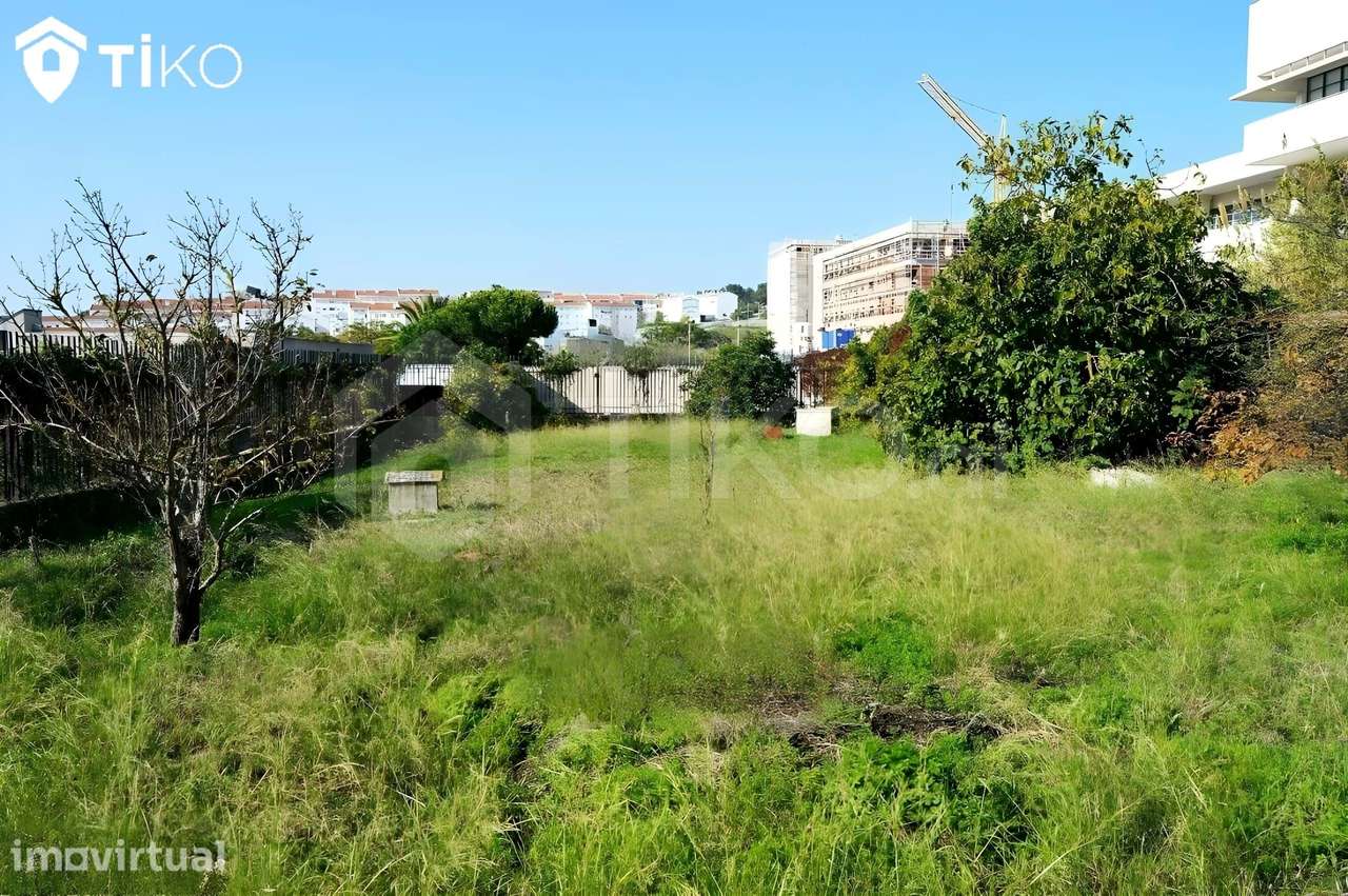 Terreno 2000m² - Ajuda - Grande imagem: 3/21