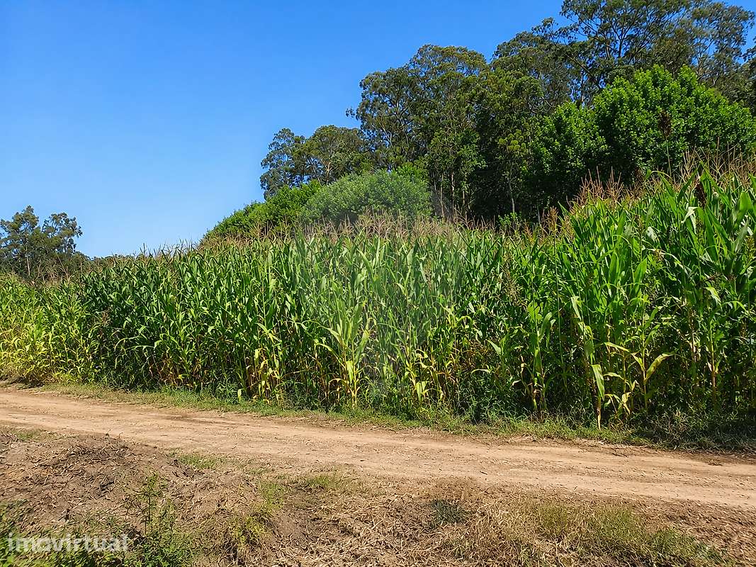 Terreno  para venda - Grande imagem: 2/6