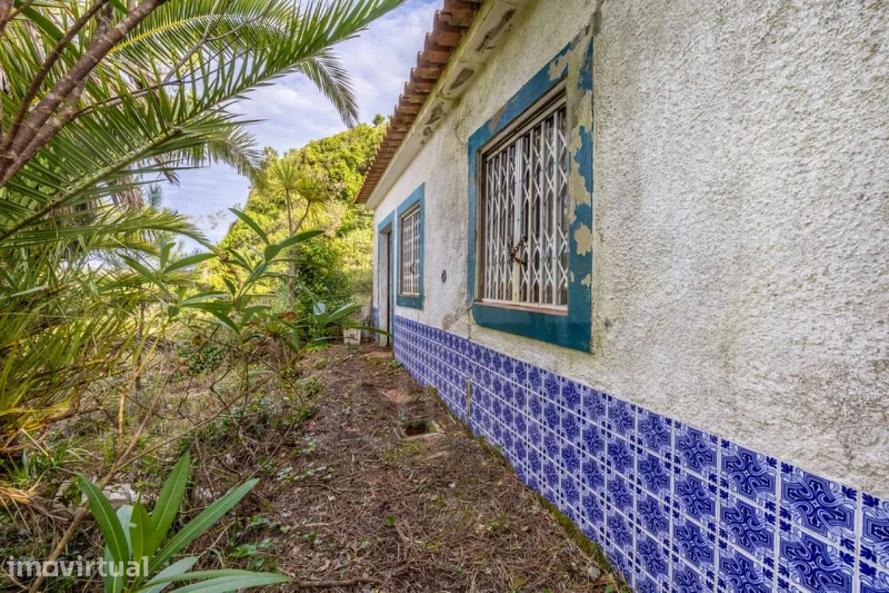Refúgio Exclusivo na Foz do Arelho: Uma Oportunidade Única de Pres... - Grande imagem: 4/28