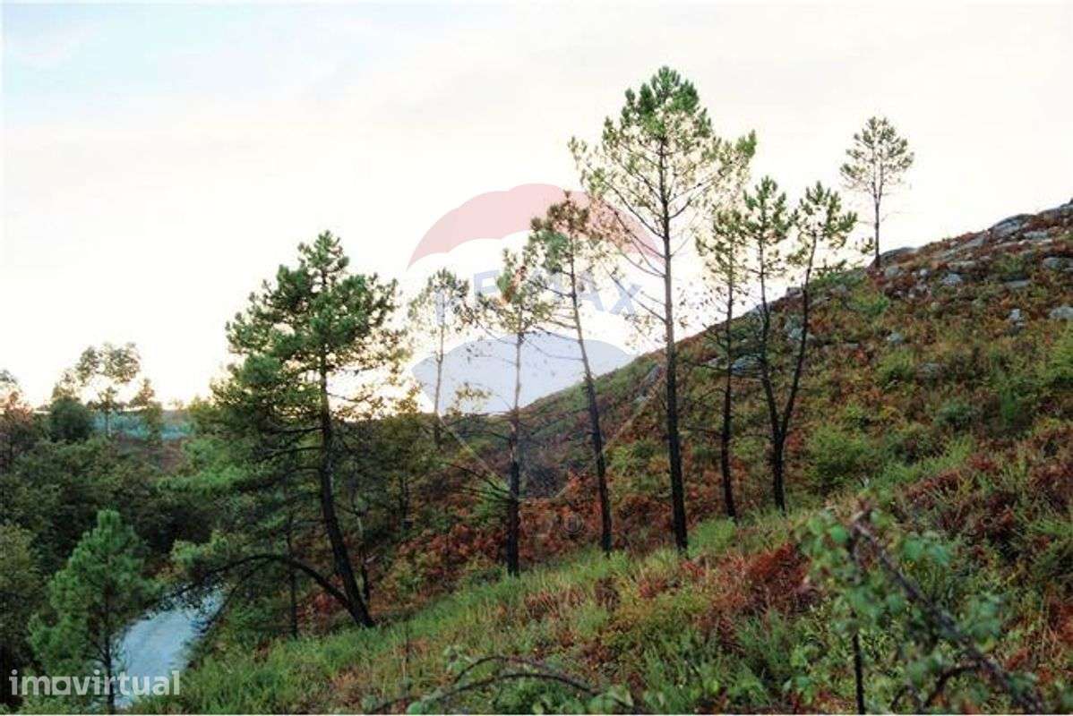 Terreno T0 para venda - Grande imagem: 2/3