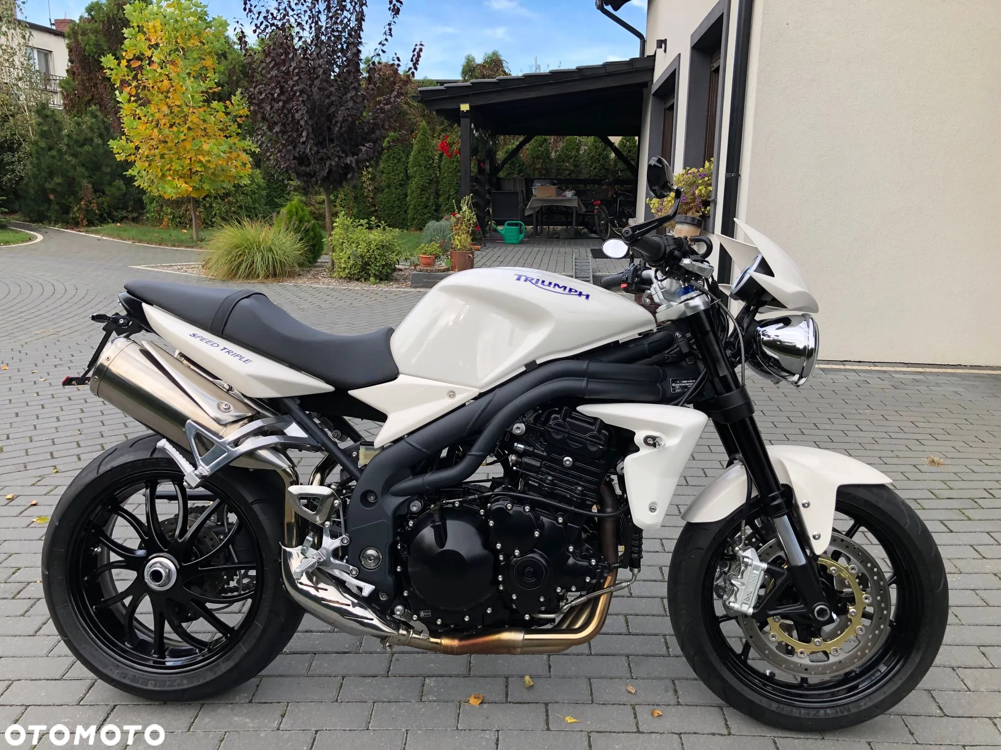 Triumph Speed Triple - 30