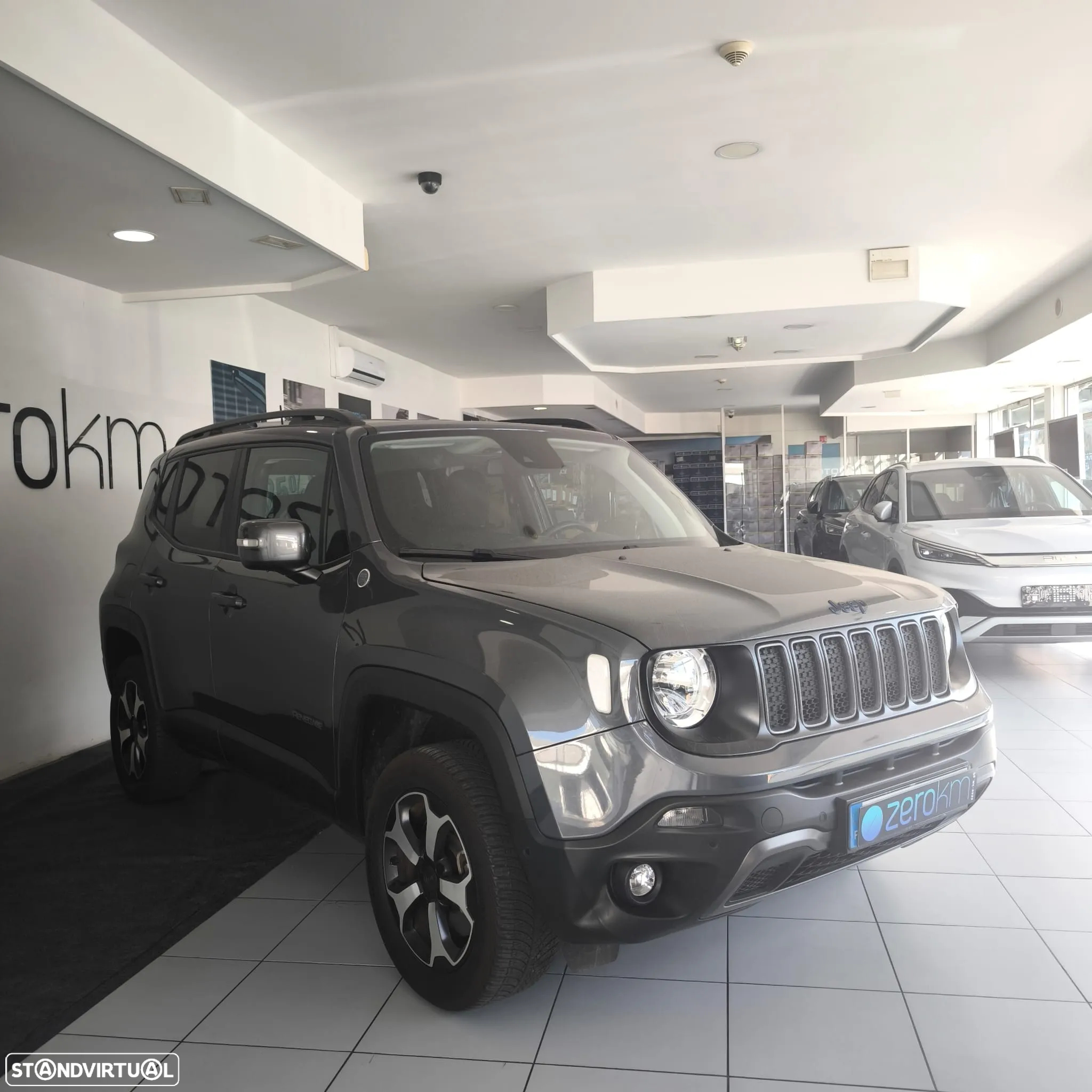 Jeep Renegade 1.3 TG 4Xe Trailhawk - 3