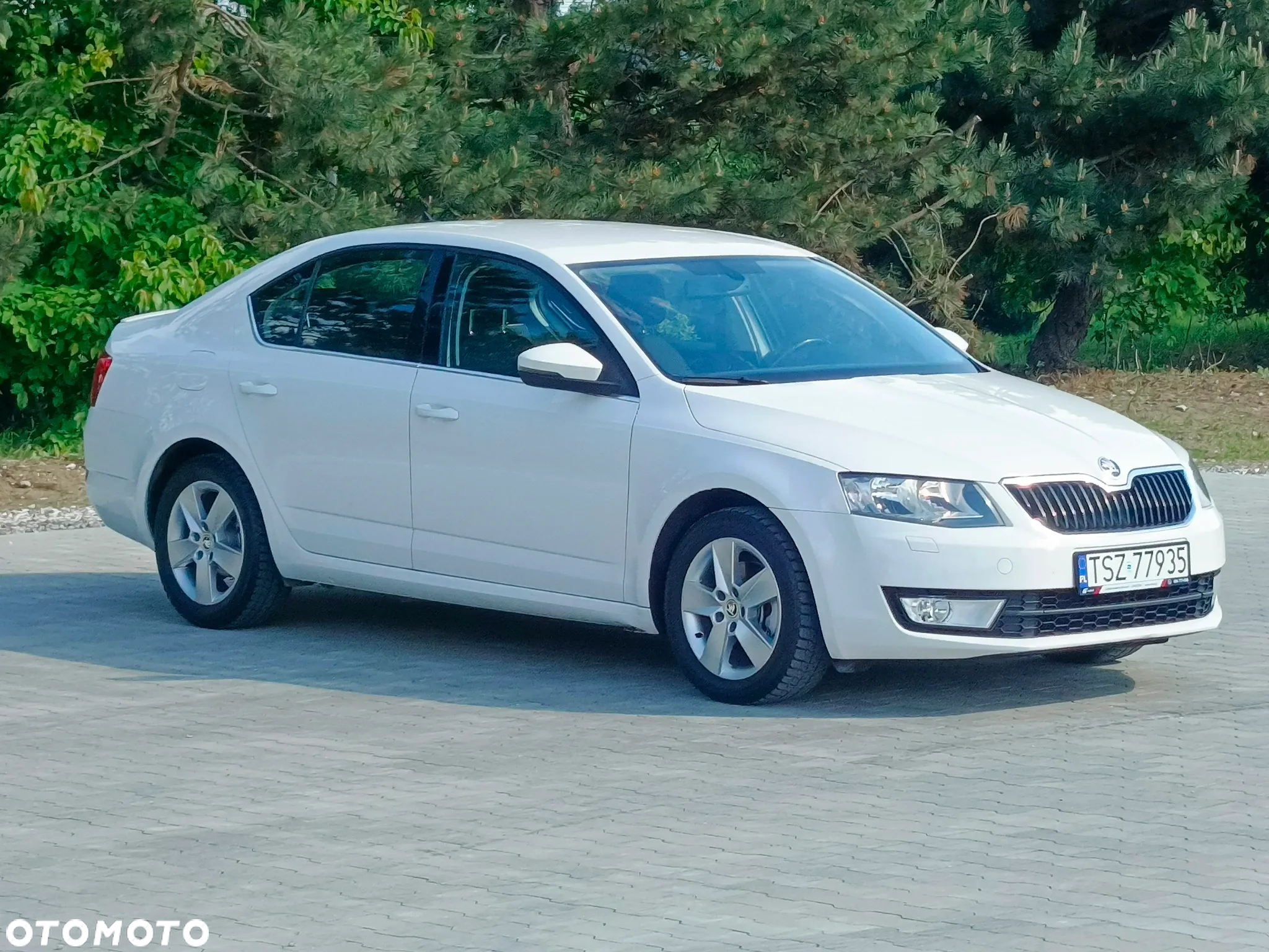 Skoda Octavia 1.6 TDI Greenline - 39