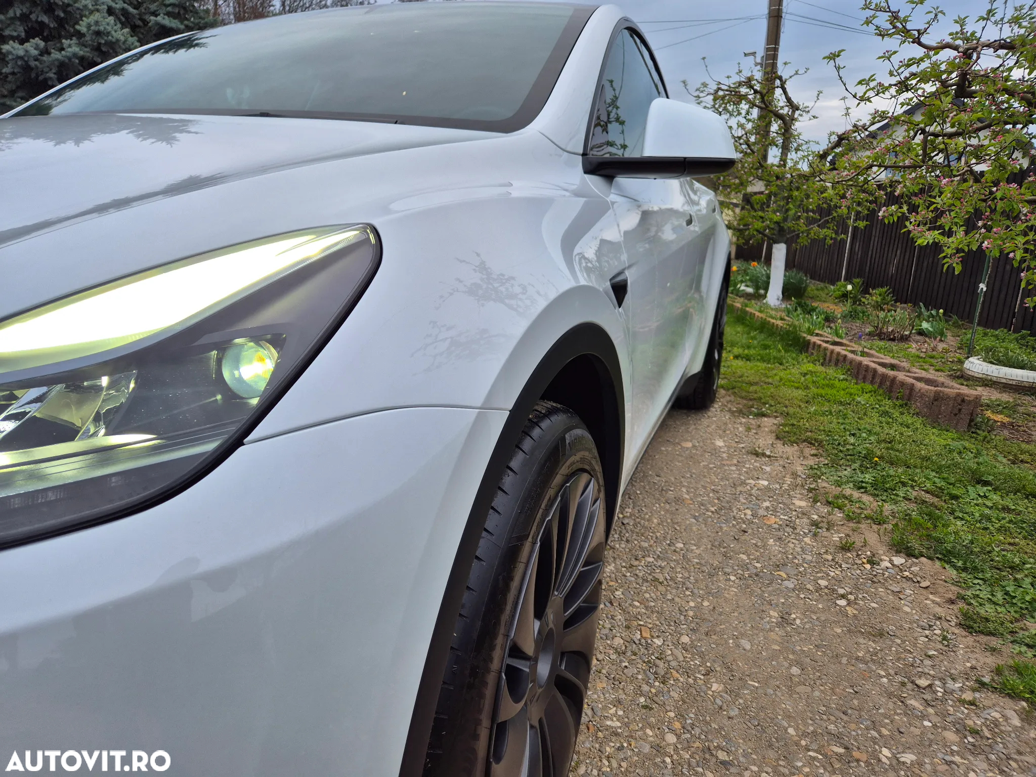 Tesla Model Y - 8