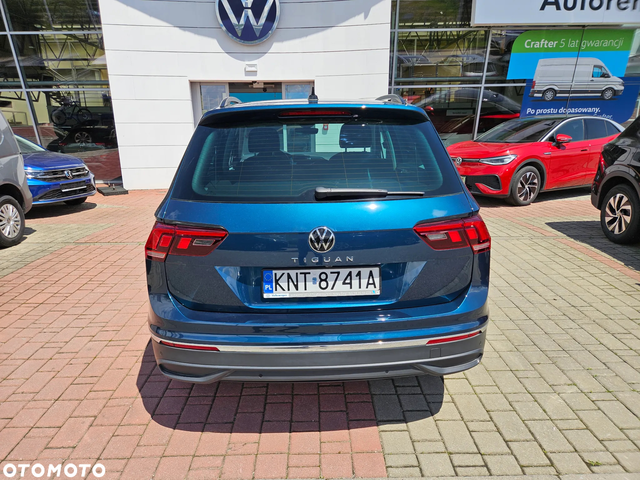 Volkswagen Tiguan 1.5 TSI EVO Life DSG - 6