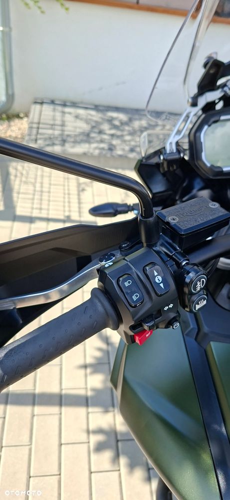 Triumph Tiger - 22