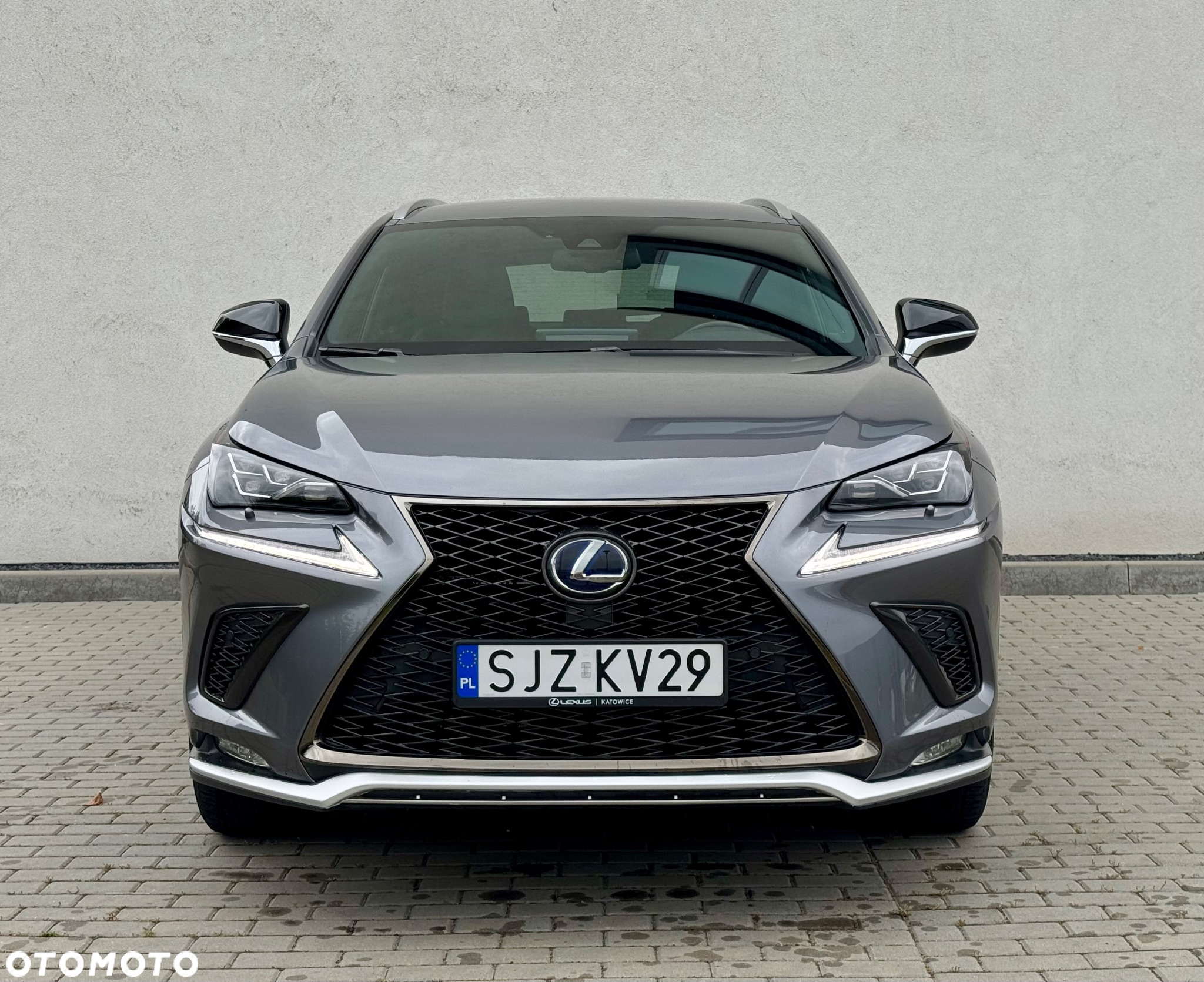 Lexus NX 300h F Sport Edition AWD - 3