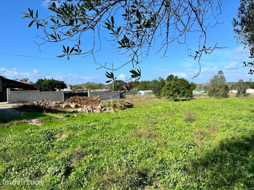 Terreno - Monte Real - Grande imagem: 5/12