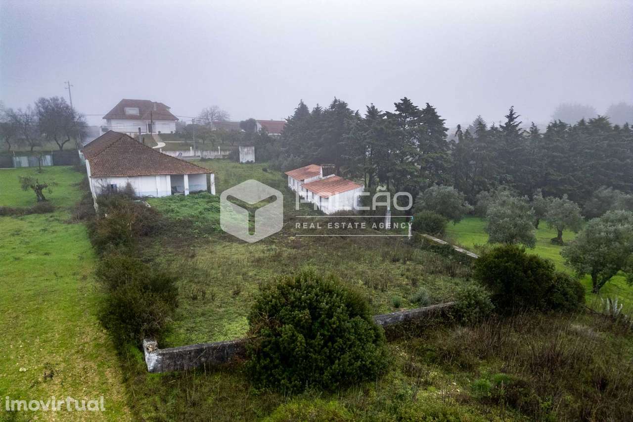 Fábrica/Indústria  Venda em Olaia e Paço,Torres Novas - Grande imagem: 3/32