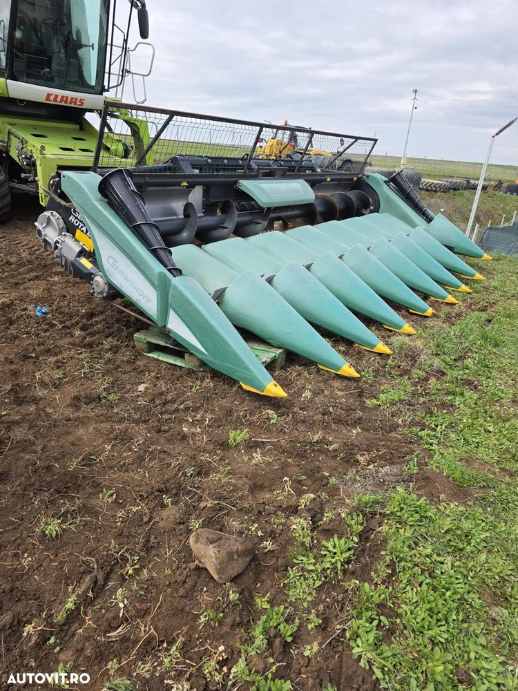 Geringhoff RD800 - 1