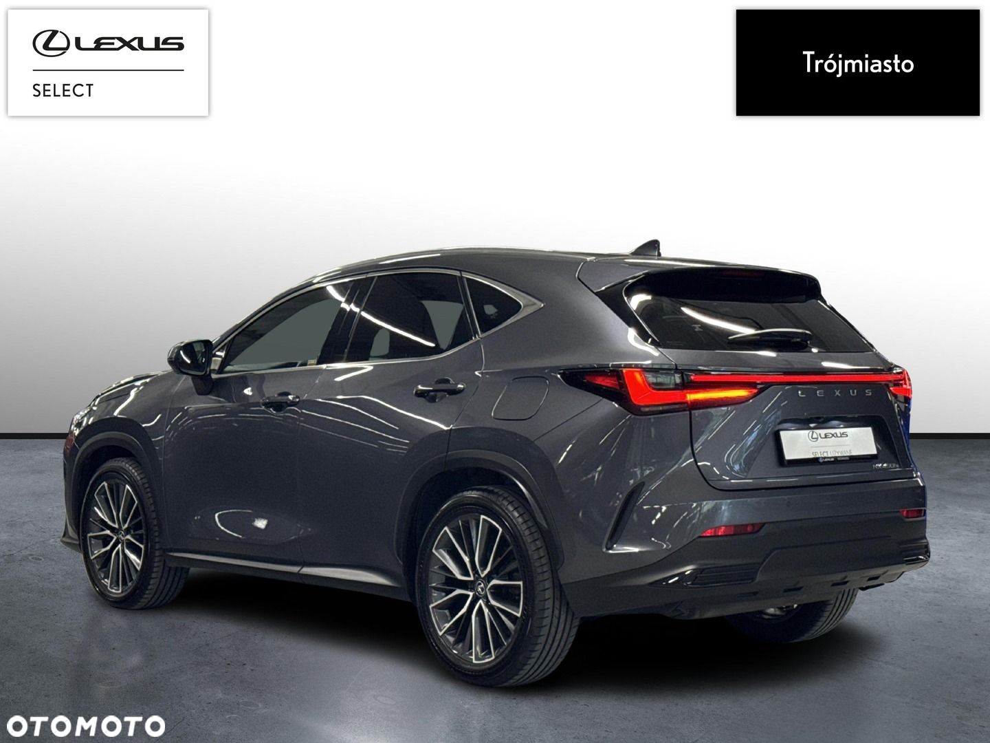 Lexus NX - 3