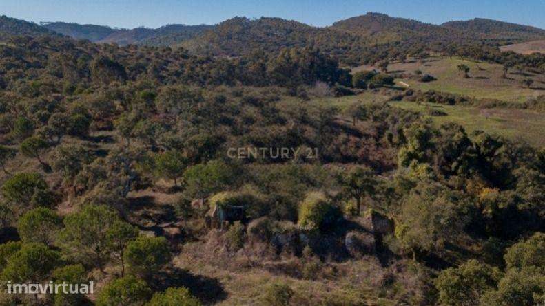 Herdade Raco de Baixo - S. Luís Poente - Grande imagem: 5/6