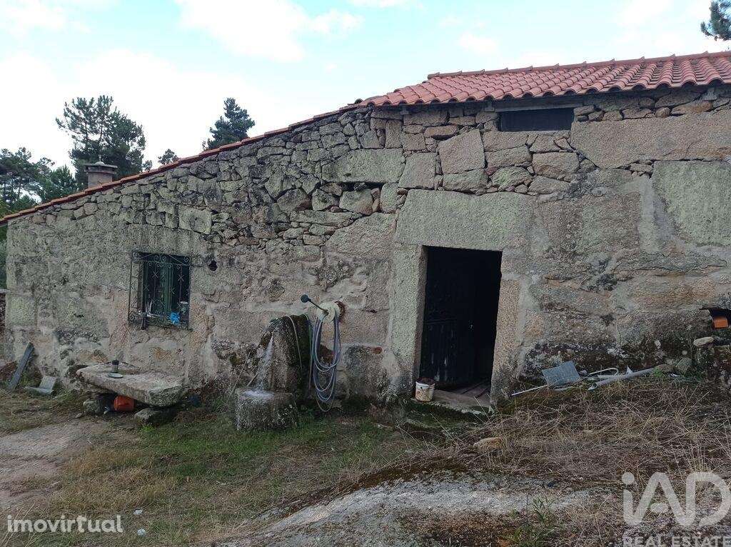 Terreno Agrícola em Sendim - Grande imagem: 2/22