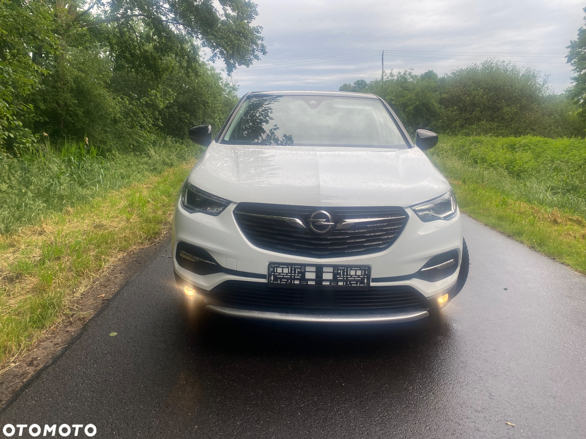 Opel Grandland X 2.0 D Start/Stop Automatik Design Line - 7