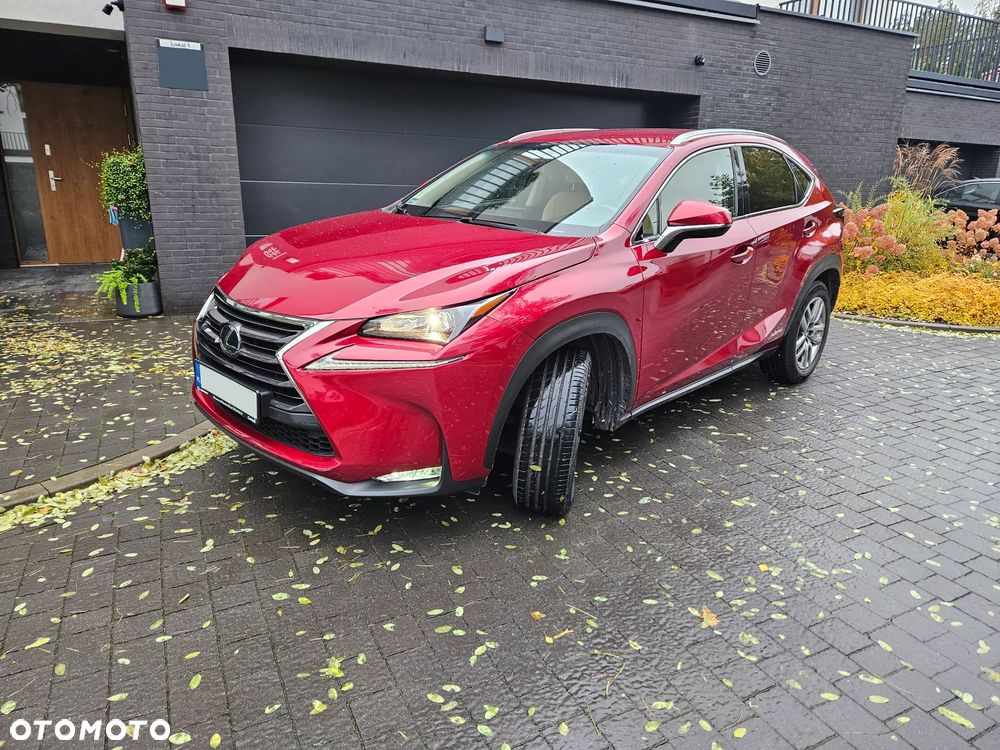 Lexus NX 300h Comfort AWD - 3