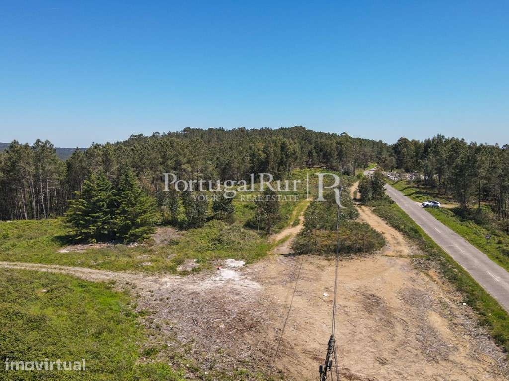 Terreno com 1.750 m2 próximo de proença-a-nova - Grande imagem: 5/11