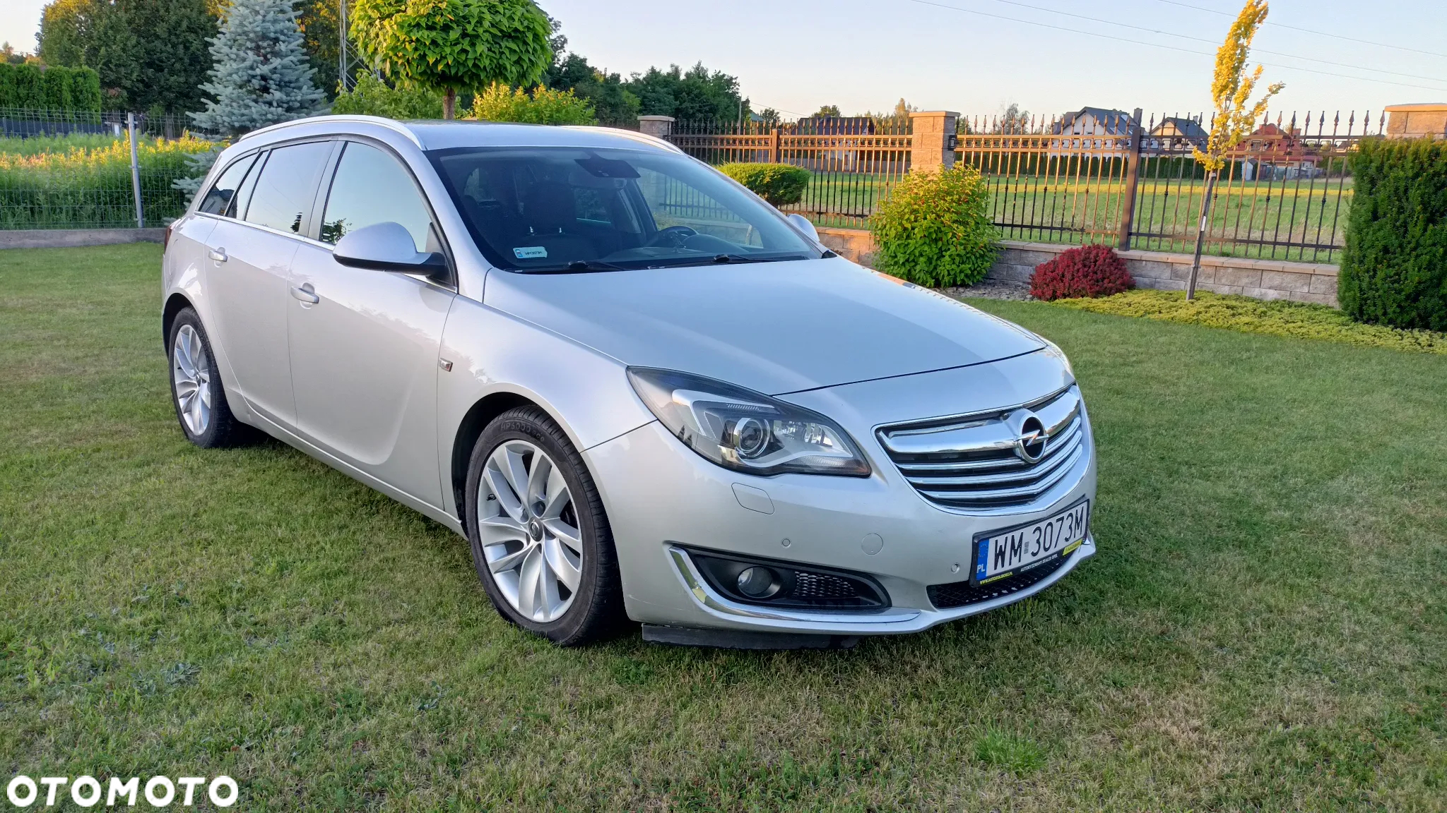 Opel Insignia 2.0 CDTI S&S - 2