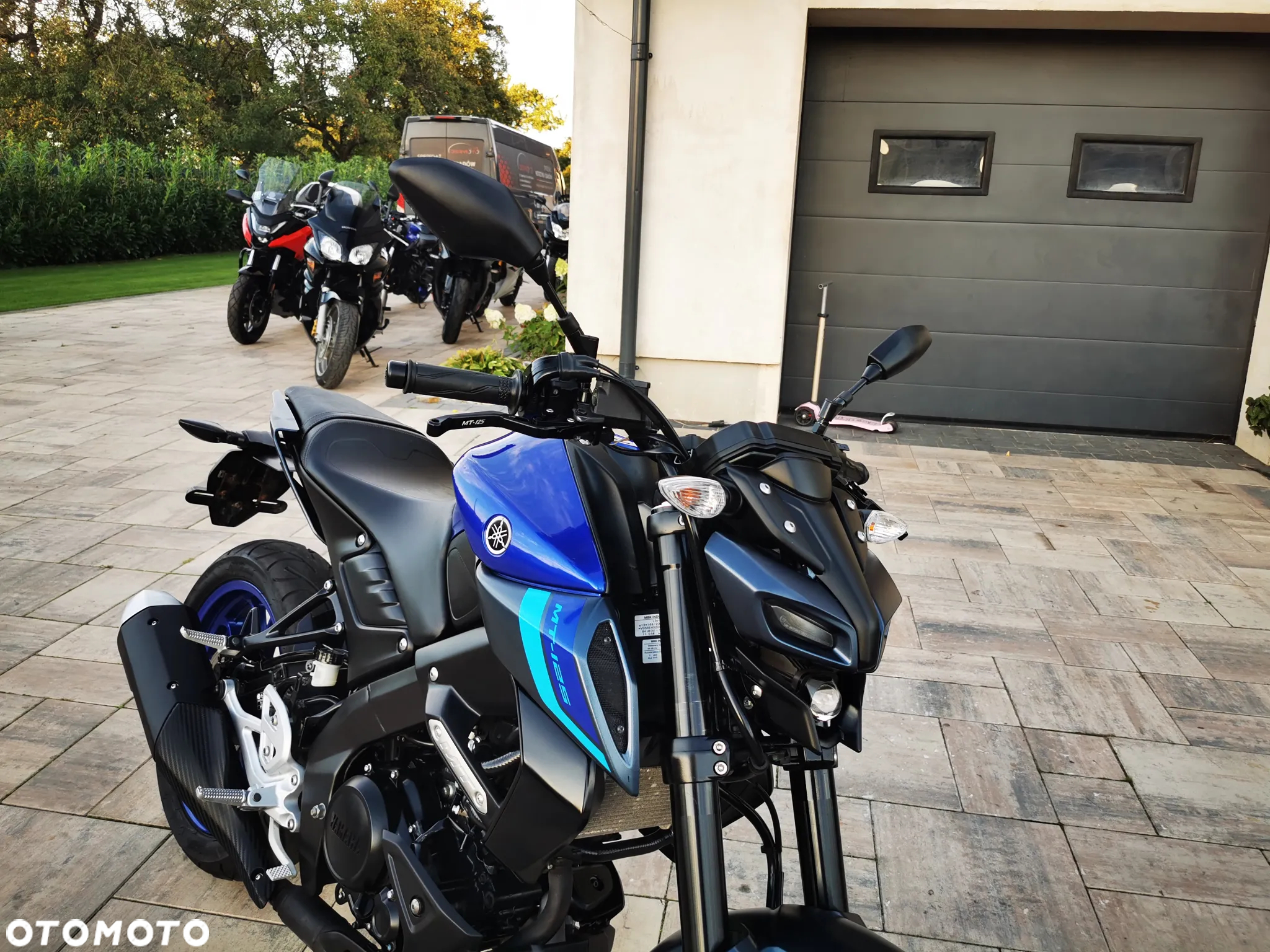 Yamaha MT - 12