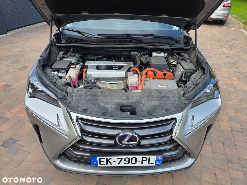 Lexus NX 300h - 10