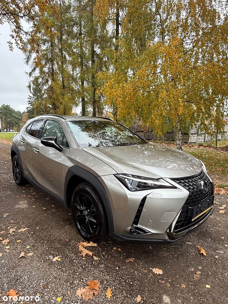 Lexus Ux 2023 photo 4