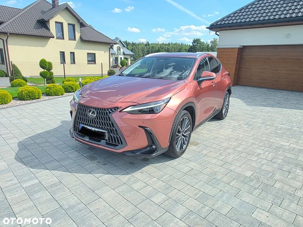 Lexus NX 350h Omotenashi AWD - 1