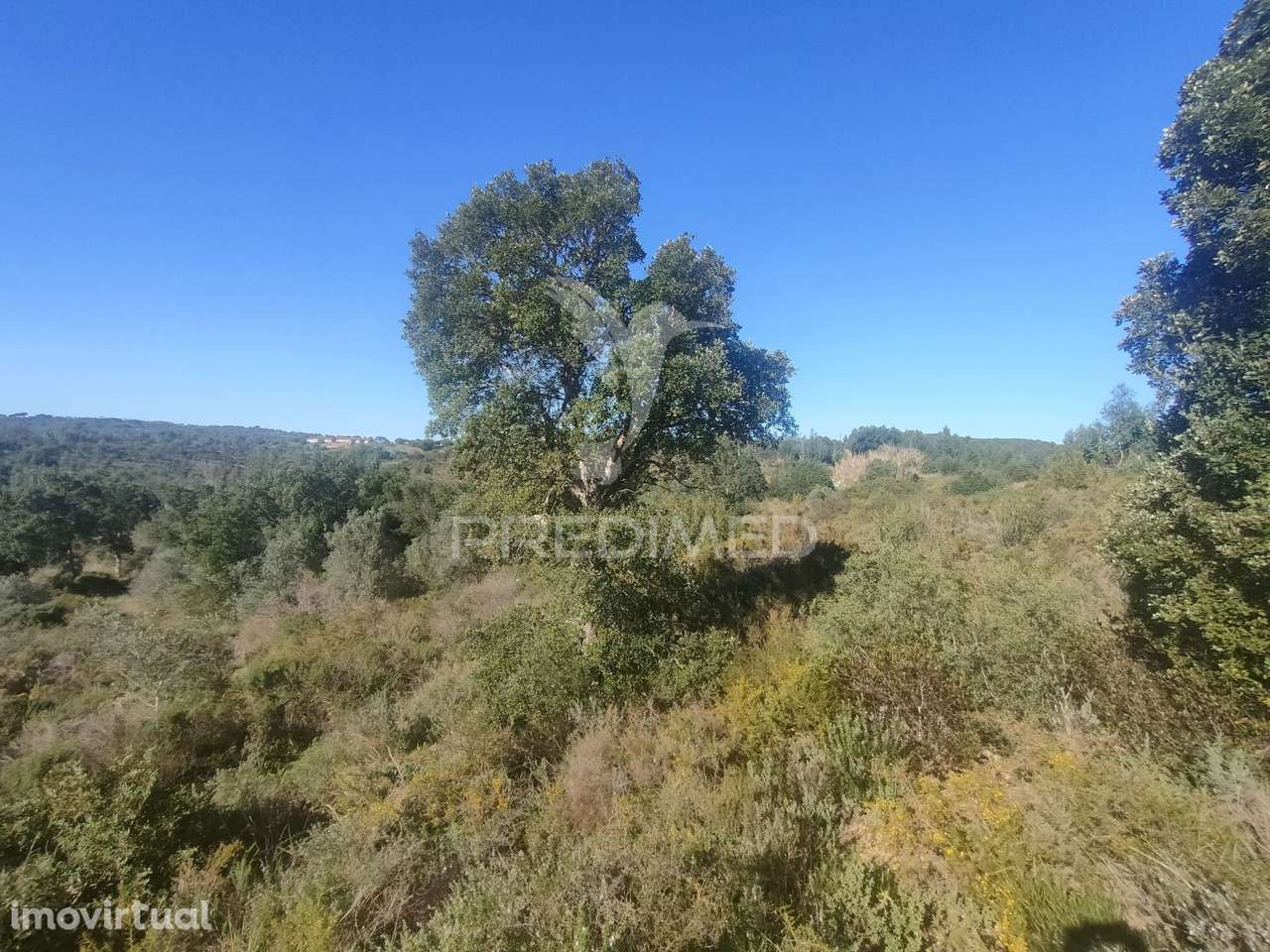 Terreno Rústico - Monsanto, Alcanena - Grande imagem: 3/9