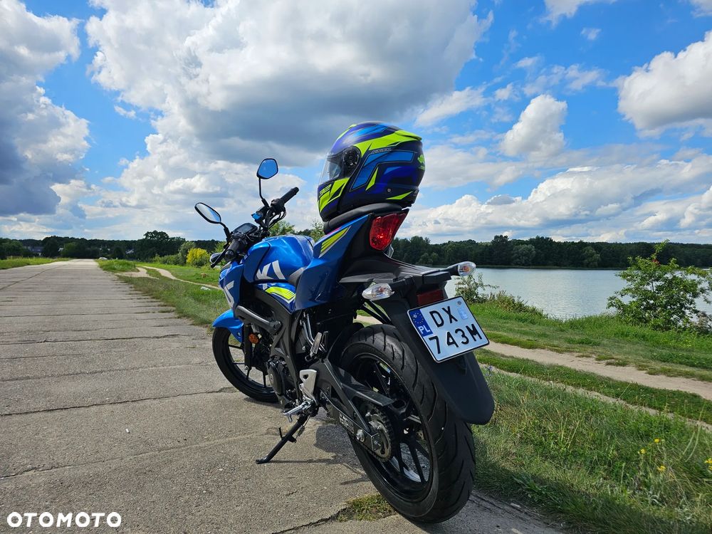 Suzuki GSX - 10