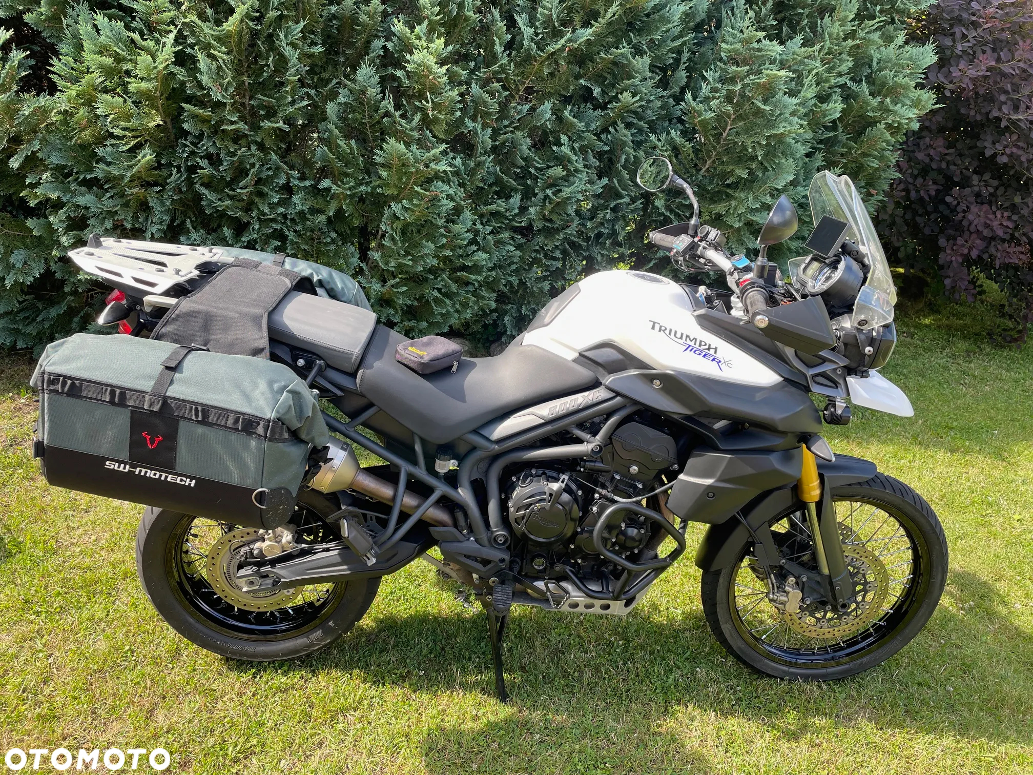 Triumph Tiger - 9