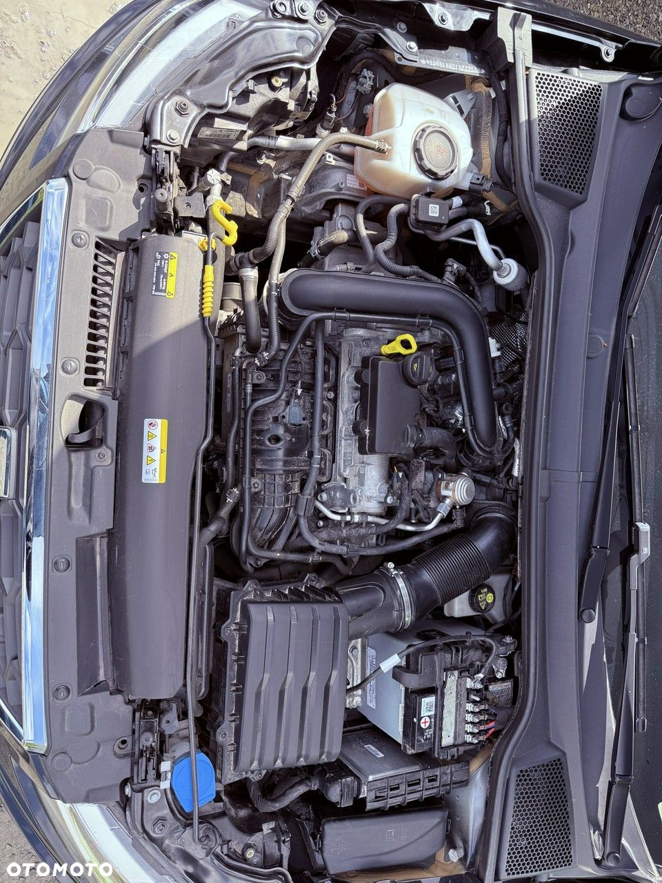Seat Ibiza - 28